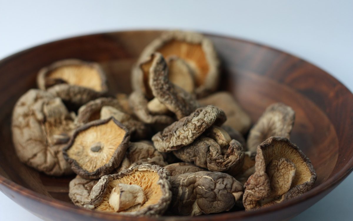 Unlocking Nature’s Secrets: The Powerful Benefits of Mushroom Supplements